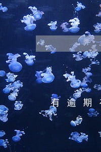 有逾期有负债在哪 有逾期有负债在哪
