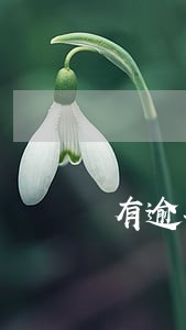 有逾期有负债还网贷款吗