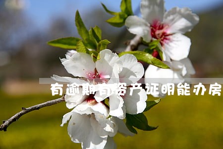 有逾期有资产证明能办房贷吗