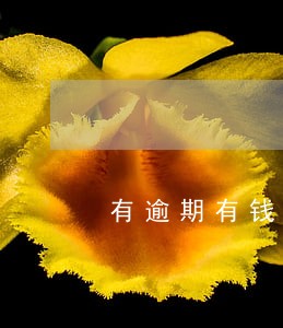 有逾期有钱花放款 有逾期有钱花放款