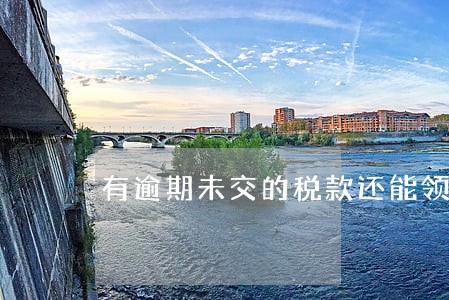 有逾期未交的税款还能领取发票吗 有逾期未交的税款还能领取发票吗
