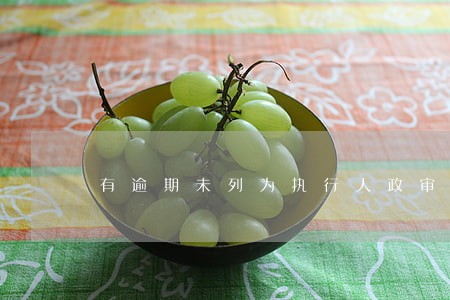 有逾期未列为执行人政审