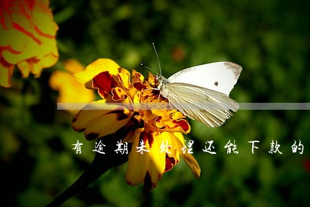 有逾期未处理还能下款的口子 有逾期未处理还能下款的口子