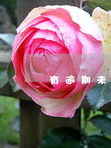 有逾期未检的车影响新车办理吗 有逾期未检的车影响新车办理吗