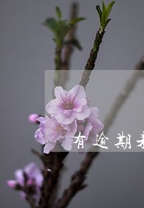 有逾期未申报领不了发票 有逾期未申报领不了发票