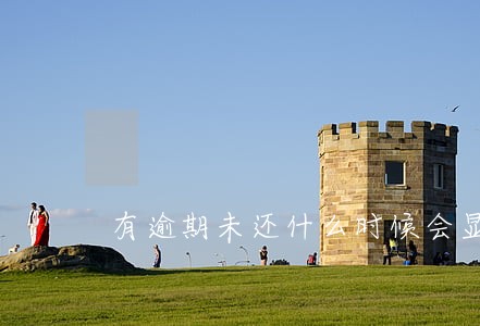 有逾期未还什么时候会显示还清 有逾期未还什么时候会显示还清
