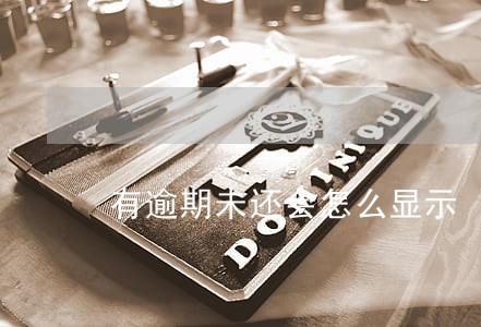 有逾期未还会怎么显示 有逾期未还会怎么显示