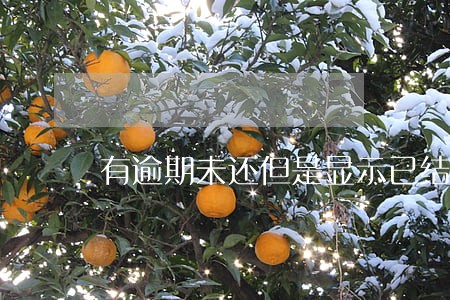 有逾期未还但是显示已结清 有逾期未还但是显示已结清