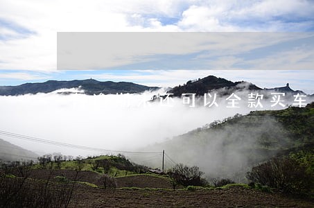 有逾期未还可以全款买车吗 有逾期未还可以全款买车吗