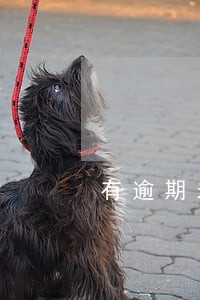 有逾期未还款记录怎么办 有逾期未还款记录怎么办