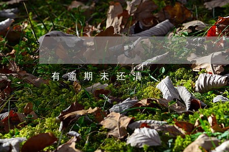 有逾期未还清 有逾期未还清