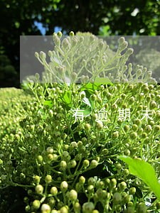 有逾期未还清还能贷款吗