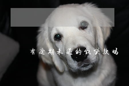 有逾期未还的能贷款吗 有逾期未还的能贷款吗