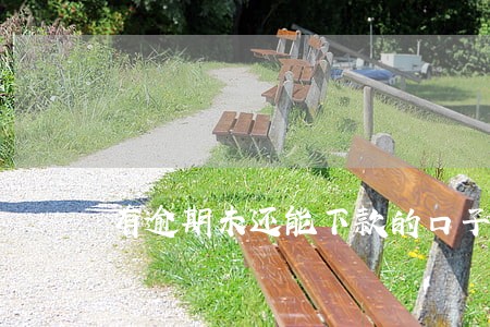 有逾期未还能下款的口子 有逾期未还能下款的口子