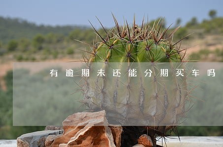 有逾期未还能分期买车吗 有逾期未还能分期买车吗