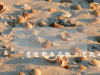 有逾期未还能办贷款吗 有逾期未还能办贷款吗