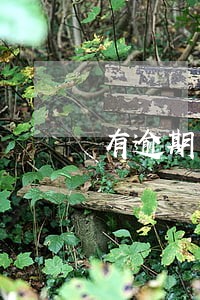 有逾期未还能去公积金么 有逾期未还能去公积金么