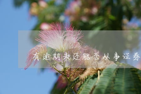 有逾期未还能否从事证券工作 有逾期未还能否从事证券工作