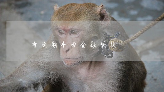 有逾期本田金融贷款 有逾期本田金融贷款