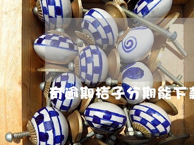 有逾期桔子分期能下款吗