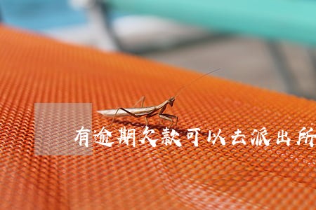 有逾期欠款可以去派出所报案吗 有逾期欠款可以去派出所报案吗