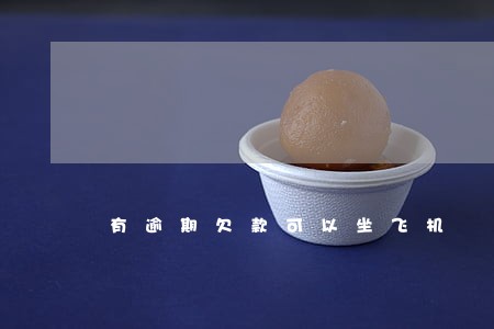 有逾期欠款可以坐飞机 有逾期欠款可以坐飞机