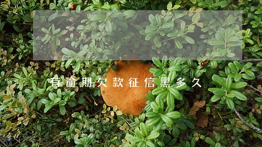 有逾期欠款征信黑多久 有逾期欠款征信黑多久