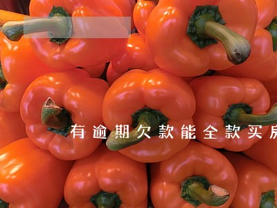 有逾期欠款能全款买房吗 有逾期欠款能全款买房吗
