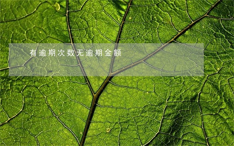 有逾期次数无逾期金额 有逾期次数无逾期金额