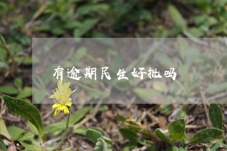 有逾期民生好批吗 有逾期民生好批吗