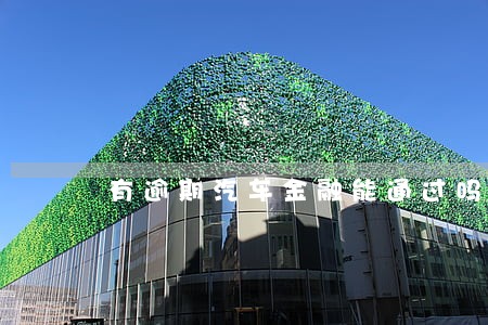 有逾期汽车金融能通过吗 有逾期汽车金融能通过吗