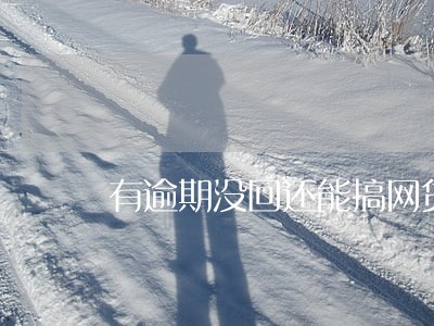 有逾期没回还能搞网贷吗 有逾期没回还能搞网贷吗