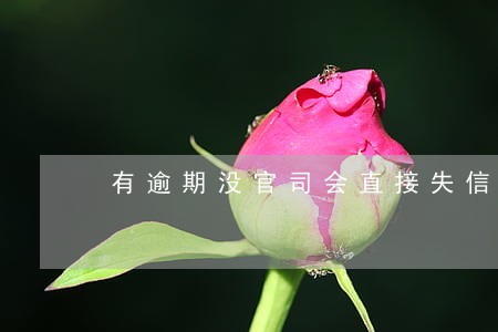 有逾期没官司会直接失信吗 有逾期没官司会直接失信吗