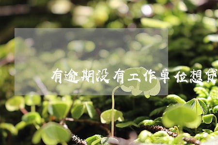 有逾期没有工作单位想贷款 有逾期没有工作单位想贷款