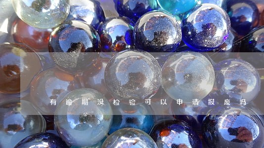 有逾期没检验可以申请报废吗 有逾期没检验可以申请报废吗