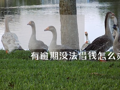 有逾期没法借钱怎么办 有逾期没法借钱怎么办