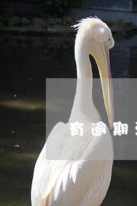 有逾期没超过三个月 有逾期没超过三个月