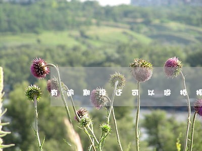 有逾期没还可以做抵押贷款吗 有逾期没还可以做抵押贷款吗