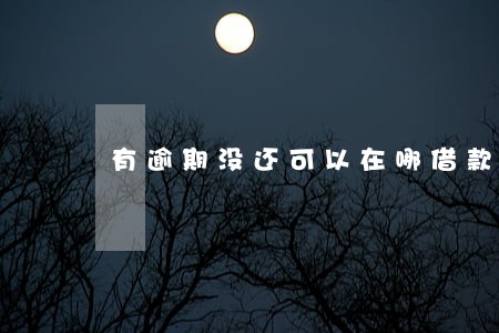 有逾期没还可以在哪借款 有逾期没还可以在哪借款