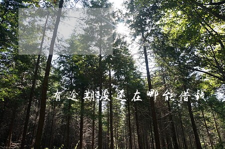 有逾期没还在哪能借钱 有逾期没还在哪能借钱
