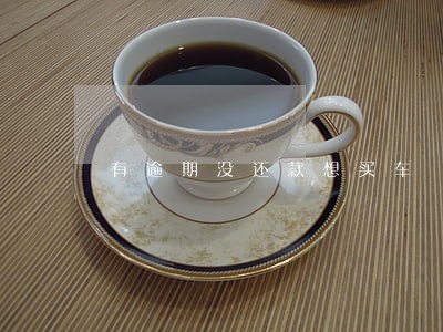 有逾期没还款想买车 有逾期没还款想买车