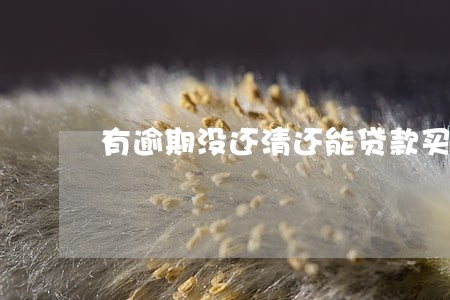 有逾期没还清还能贷款买房吗 有逾期没还清还能贷款买房吗