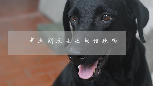 有逾期没还还能借款吗 有逾期没还还能借款吗