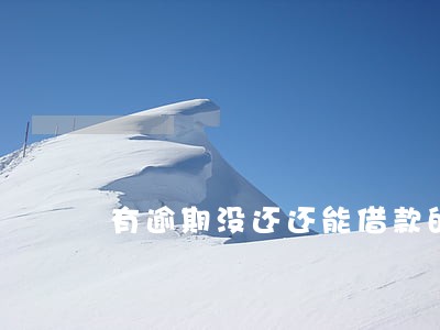 有逾期没还还能借款的网贷 有逾期没还还能借款的网贷