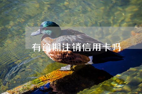 有逾期注销信用卡吗 有逾期注销信用卡吗