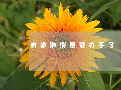 有逾期消费贷办不了 有逾期消费贷办不了