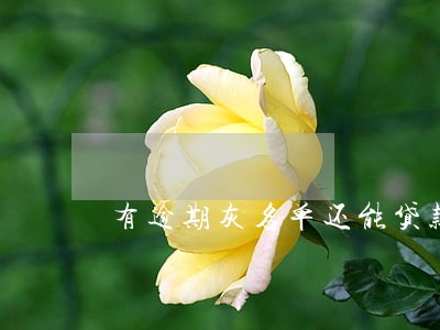 有逾期灰名单还能贷款