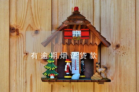 有逾期烟证贷款