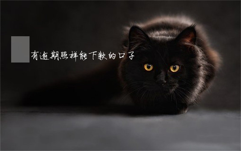 有逾期照样能下款的口子 有逾期照样能下款的口子