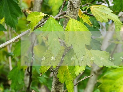 有逾期状态还能如何申请贷款 有逾期状态还能如何申请贷款